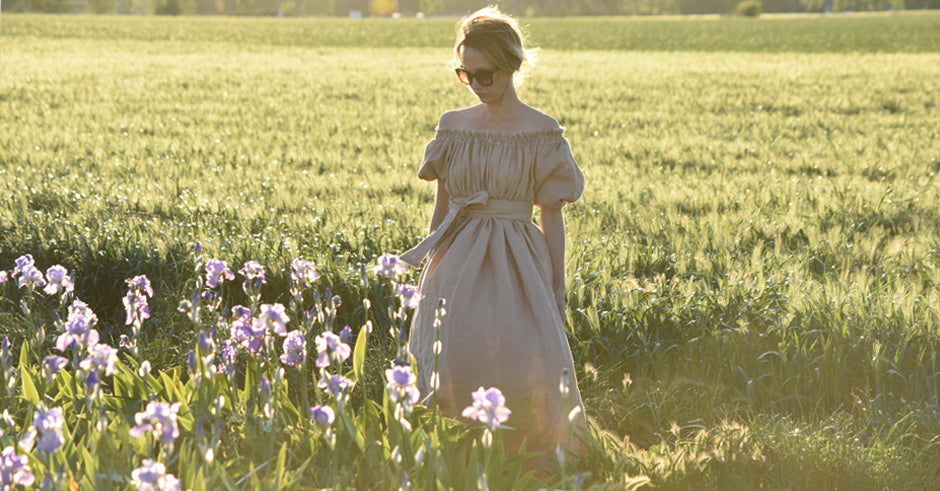 The Iris Fields of Provence